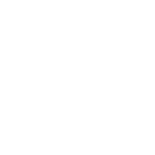 True Spirit
